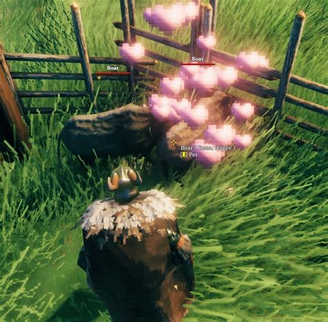 When finding and taming a 2 star <b>boar</b> near a <b>Boar</b> Rune, the best strategy is to breed it right there, then move the offspring. . Valheim kill tamed boar